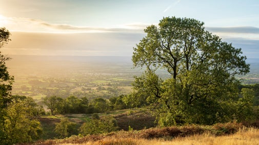 A misty sunrise over Midsummer Hill, with sweeping views over the surround landscape